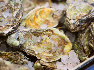 Oysters with ice in a box on a fish market