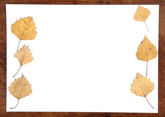 Autumn leaves frame border background. Top view.