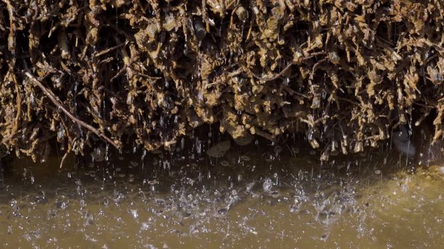 Solewasser tröpfelt am Gradierwerk Saline herunter und entwickelt Aerosol haltige Luft für Wellness Gefühle