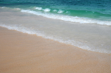 Fototapeta na wymiar sandy beach of Atlantic Ocean