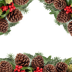 Fototapeta premium Winter Pine Cone and Floral Border