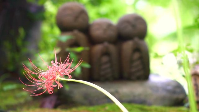 Cute stone monk statue Jizo Statue (Ksitigarbha)  is buddhist guardian of children soul in Japanese believe