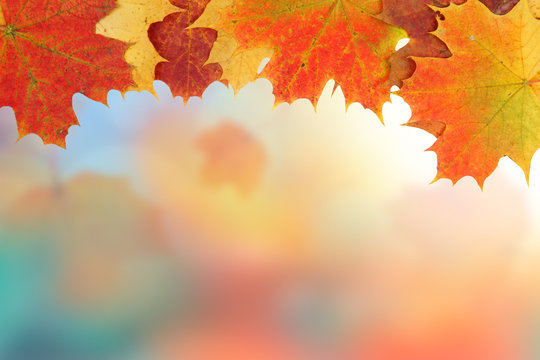 Frame composed of colorful autumn leaves with bokeh