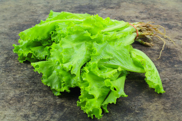 Salad leaf. Lettuce isolated on wooden background