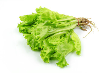 Salad leaf. Lettuce isolated on white background