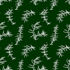 Seamless pattern with juniper brunches