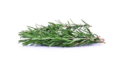rosemary on white background