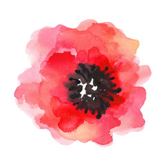 Watercolor illustration of a poppy on a white background. - 122146295