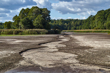 The bottom of a dried fish pond in Poland.