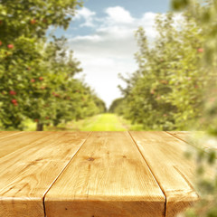 wooden desk and trees 