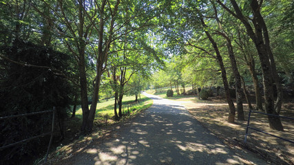BESALU CATALONIA SPAIN - JULY 2016: Smooth steady camera shot slides along dirt country european road in mountain village forest with fields, bushes and trees, wide panoramic lens, sun is shining.
