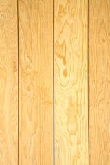 Fototapeta premium Light wood texture