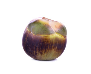 Asian Palmyra palm, Toddy palm, Sugar palm on white background