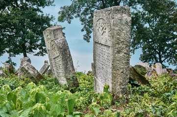 Fototapeta na wymiar Gravestones in the Jewish cemetery
