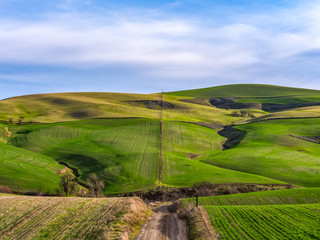 Green Hills of Dufur, Oregon 