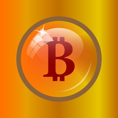 Bitcoin icon