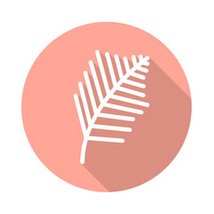 Long Shadow Palmenzweig