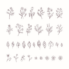 Hand drawn plants