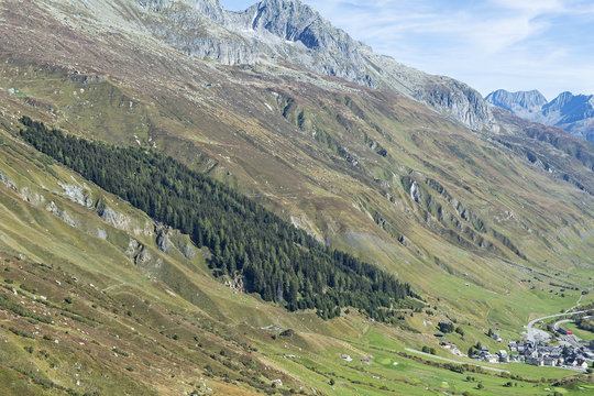 Schutzwald oberhalb von Realp, Uri, Schweiz