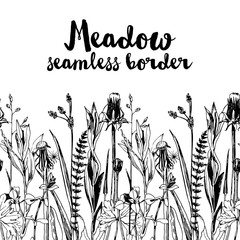 seamless herbal border