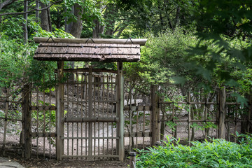 日本庭園 / 森の中の門