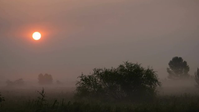 The Morning Smoke at Beautiful Sunrise
