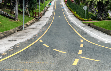 Road in the park