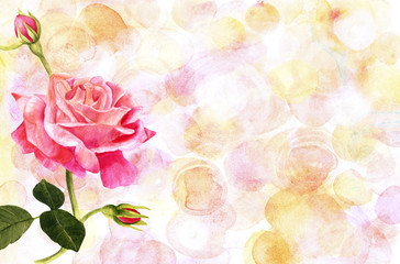 Watercolor pink rose on pastel background with copyspace