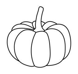 halloween  pumpkin vector symbol icon design