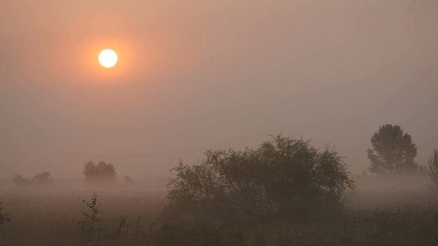 The Morning Smoke at Beautiful Sunrise