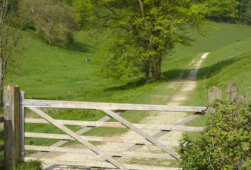 Track and five bar gate