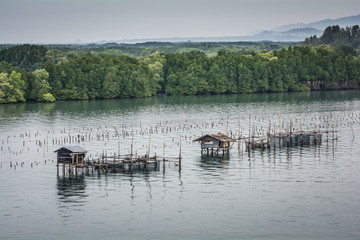 Fish farms, Fish cages at The estuary Laem Sing, Chanthaburi ,Thailand.