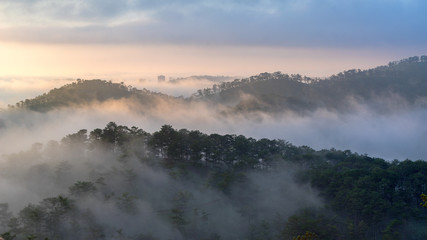 Fog over mountain and forest on sunrise at Da Lat, Vietnam