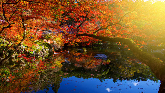 Daigoji temple with Autumn colors, Kyoto