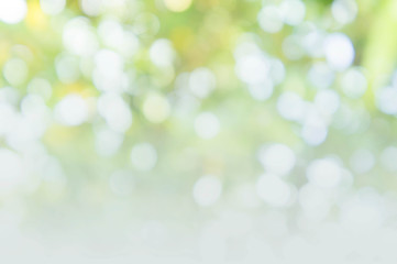 Obraz premium abstract bokeh background style, nature colorful blur background