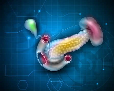 Pancreas and surrounding organs, gallbladder, small intestine and spleen detailed illustration on a scientific abstract background. 