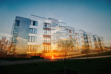 Obraz premium plant on the background of the house double exposure