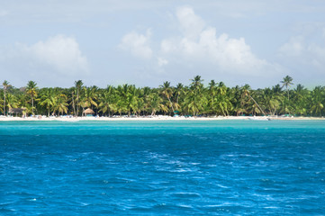 The white beaches of the Dominican Republic. jungle adjacent to the edge of the Caribbean Sea. Photo partially tinted