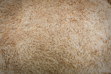 close-up brown wool fluffy fur texture background