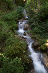 Wasser fliesst im Bach durch die Natur im Wald
