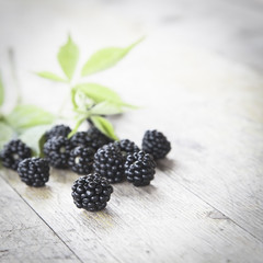 Freshly picked blackberry and green leaves on background. Grey desk. Selective focus. Free space for text.