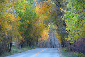 Scenic mountain drive near Aspen Colorado