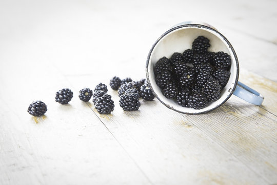 Freshly picked blackberry in blue metallic mug. Grey desk. Selective focus. Free space for text.