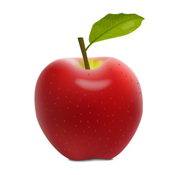 illustration of red apple