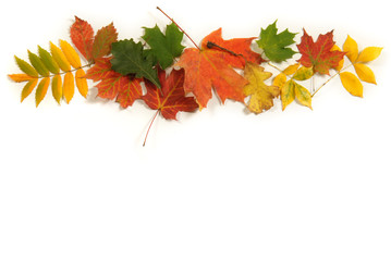 Collection of colorful Autumn leaves with room for copy space.