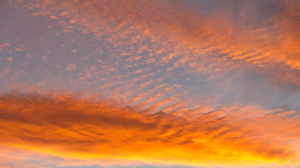 Fototapeta premium The Sky in Orange