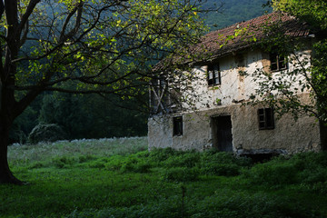Abandoned house in the woods