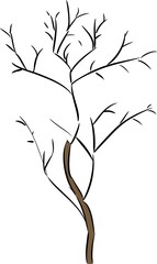 tree without leaves