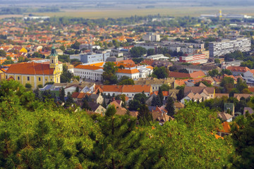 Fototapeta na wymiar View of Szekszard