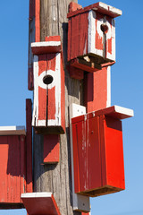 Bright red nesting boxes on wooden post